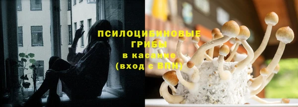 спиды Магас
