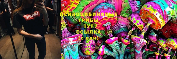спиды Магас