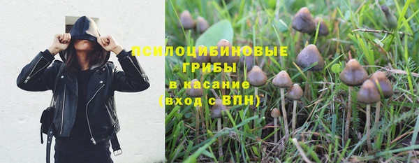 спиды Магас