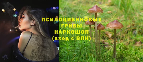 спиды Магас